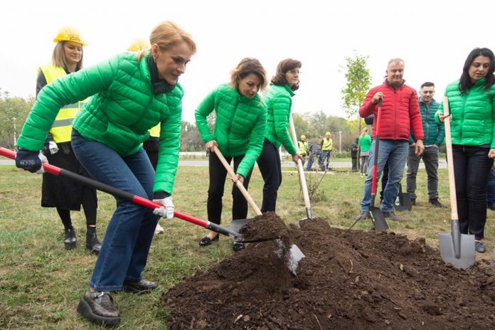 actiune plantare copaci firea