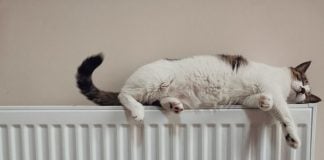 Cererile pentru ajutorul de încălzire a locuinţei în sezonul rece 2026-2027 pot fi depuse din octombrie