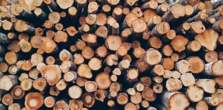 Diana Buzoianu: La o aruncătură de băț de București, în depozite de lemn se comercializa lemn fără acte în regulă de proveniență