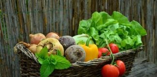 Peste 58 de milioane de tone de deșeuri alimentare, generate anual în Uniunea Europeană