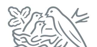 Nestle România retrage de la comercializare mai multe loturi de lapte praf