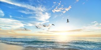 Plajele din Europa impun reguli mai stricte în această vară. Ce riscă turiștii care nu le respectă
