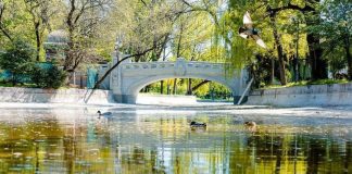 Semne uitate în parcurile din Bucureşti: interzis păşunatul sau spălatul maşinii