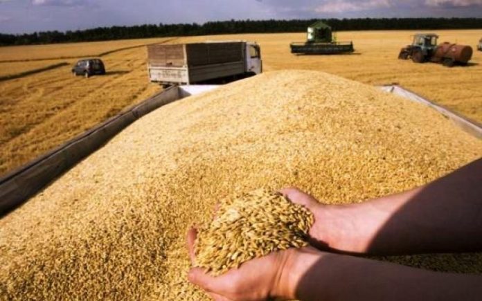 Scandal cereale Ucraina.