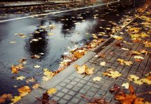 Prognoza meteo ANM pentru toamnă.