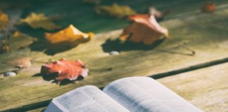 Care este cuvântul anului 2025 potrivit Cambridge Dictionary