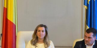 Dumitrița Albu, deputat neafiliat de diaspora: Românii din diaspora, victime ale inerției administrative