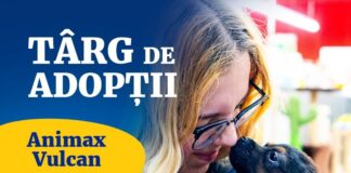 Bucureștenii sunt invitați la un nou târg de adopții de căței organizat de ASPA