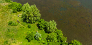 Societatea civilă cere candidaților la Primăria Capitalei asumarea a nouă priorități esențiale pentru un București cu un mediu sănătos