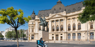 Wolt prezintă obiceiurile de consum ale românilor în 2025 – Tipologia culinară a orașelor: de la „capitala șaormei” la „supremația sosului”