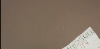 A cincea seară de proteste/ Peste o mie de persoane – în Piața Victoriei din Capitală