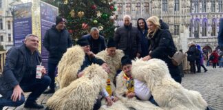 VIDEO/FOTO Ciobani, profesori și studenți la Bruxelles într-un demers inițiat de Luis Lazarus: ”Importantă este această chestiune care ține de siguranța alimentară”