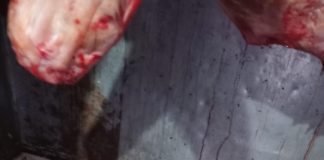 Amenzi de 3,8 milioane lei, aplicate de ANPC în urma controalelor din perioada 6-9 aprilie 2026