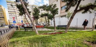 FOTO/ Spațiu abandonat de pe Șoseaua Pantelimon, transformat în zonă verde în doar 10 zile
