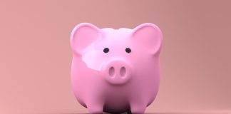 piggy bank, money, finance, banking, currency, cash, pig, investment, wealth, savings, financial, save, economy, deposit, pink, accounting, retirement, invest, income, loan, investing, rich, profit, fund, piggy bank, money, money, money, money, money
