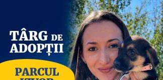 Târg de adopții în Parcul Izvor: ASPA aduce câini și pisici pregătite pentru o nouă familie