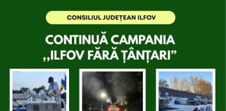 Acțiuni de dezinsecție în județul Ilfov: măsuri periodice pentru reducerea țânțarilor și protejarea sănătății publice