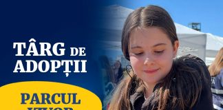 Târg de adopții în Parcul Izvor: căței și pisici își caută familii în acest weekend