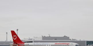 AnimaWings inaugurează ruta directă București-Milano Malpensa, care va lega România cu nordul Italiei