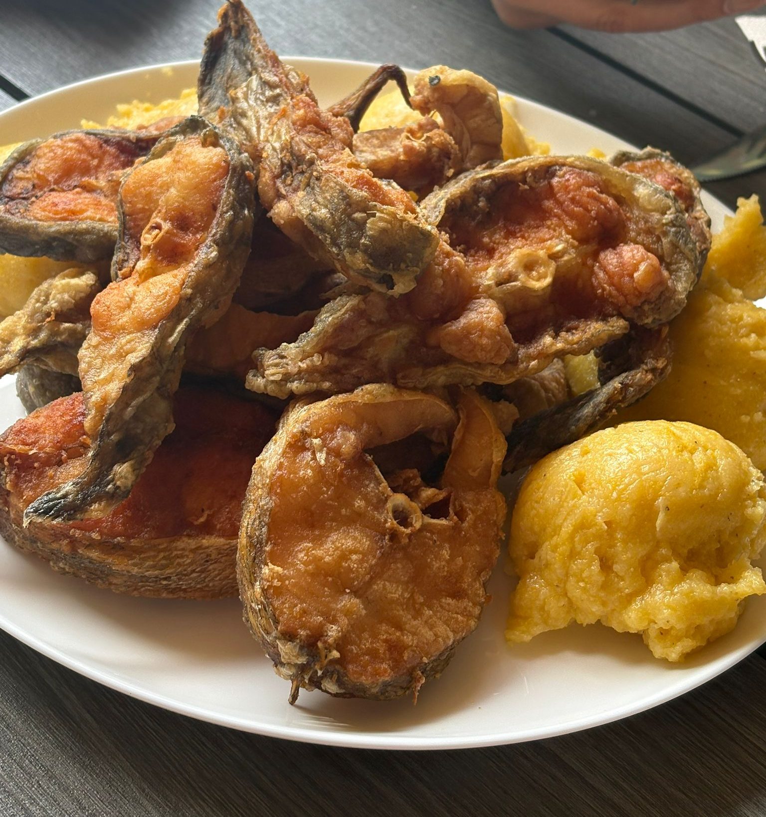 FOTO/ Tulcea își rescrie povestea: între turism lent, gastronomie locală și ambiția de a deveni mai mult decât poarta Deltei 7 WhatsApp Image 2026 05 21 at 00.19.50 e1779312446105