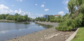 Trotinete și biciclete scoase din Lacul Herăstrău. Au început lucrările pentru refacerea malurilor