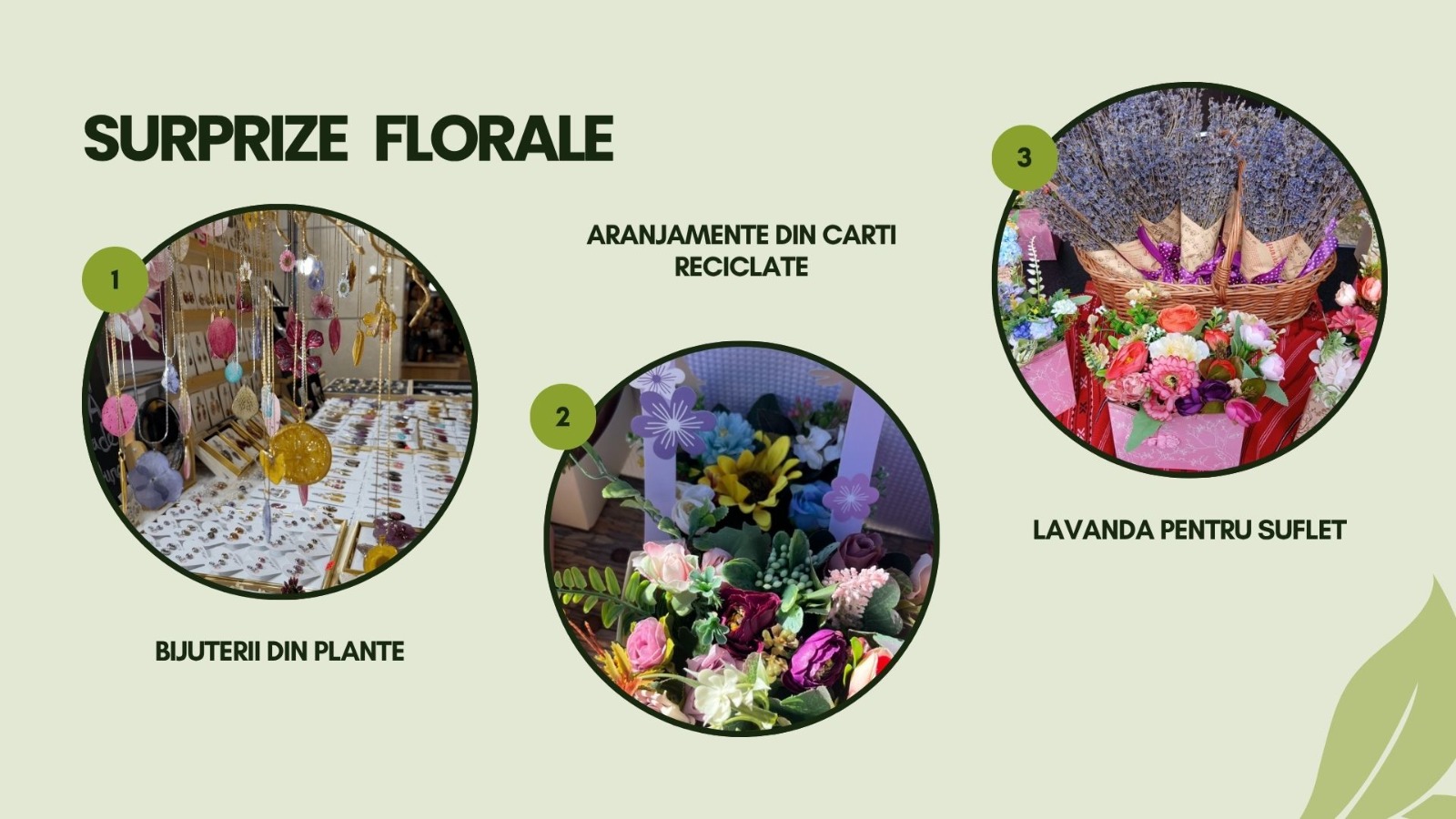 West Side Flower Fest, între 5–7 iunie în Parcul Drumul Taberei: spectacole florale, artă și experiențe culinare 1 712289456 1665491122248640 8369807008135614411 n