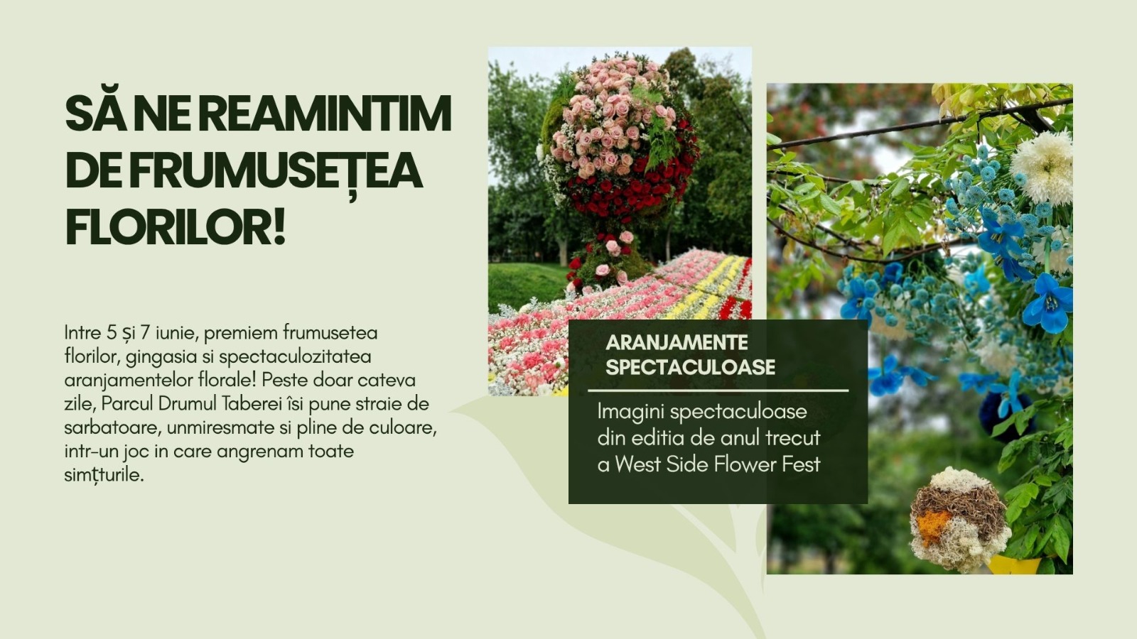 West Side Flower Fest, între 5–7 iunie în Parcul Drumul Taberei: spectacole florale, artă și experiențe culinare 2 712644191 1665492758915143 5401160791745632835 n