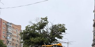 Primăria Capitalei începe modernizarea Căii 13 Septembrie: trotuare refăcute, spații verzi extinse și mașini eliminate de pe trotuare