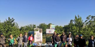 Campanie de combatere a ambroziei în Parcul Natural Văcărești. Autoritățile avertizează asupra riscurilor pentru sănătate
