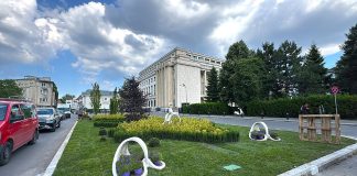 Primăria Sectorului 1 amenajează mai multe spații verzi din București. Lucrări în Piața Victoriei, zona Pajura și pe Calea Griviței