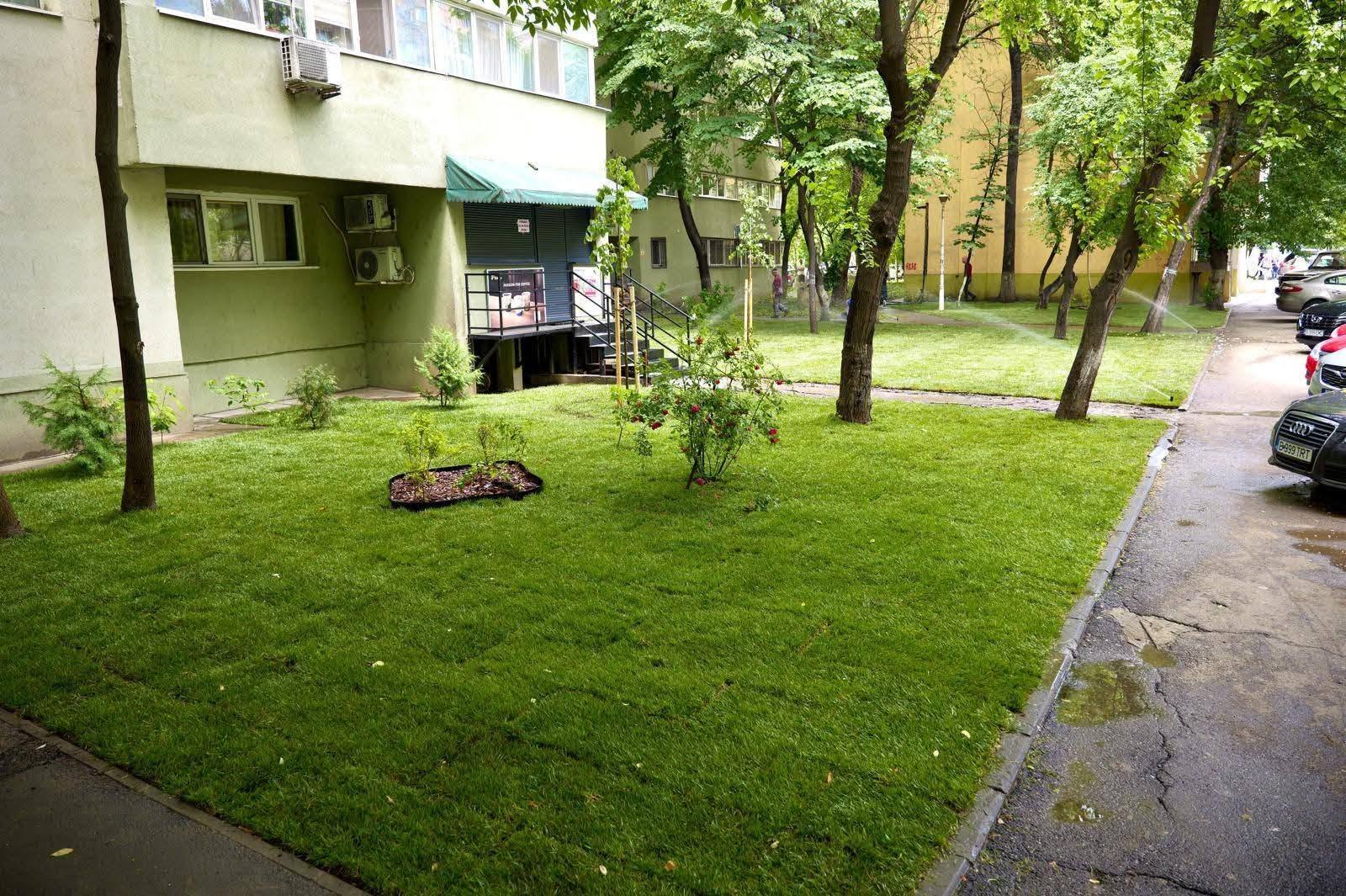 Primăria Sectorului 2 a reamenajat grădina de bloc de la adresa Colentina 85 1 723556323 1515671650604744 2770350405616841264 n