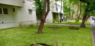 Primăria Sectorului 2 a reamenajat grădina de bloc de la adresa Colentina 85