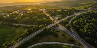 bird's-eye view photography of asphalt road in between trees