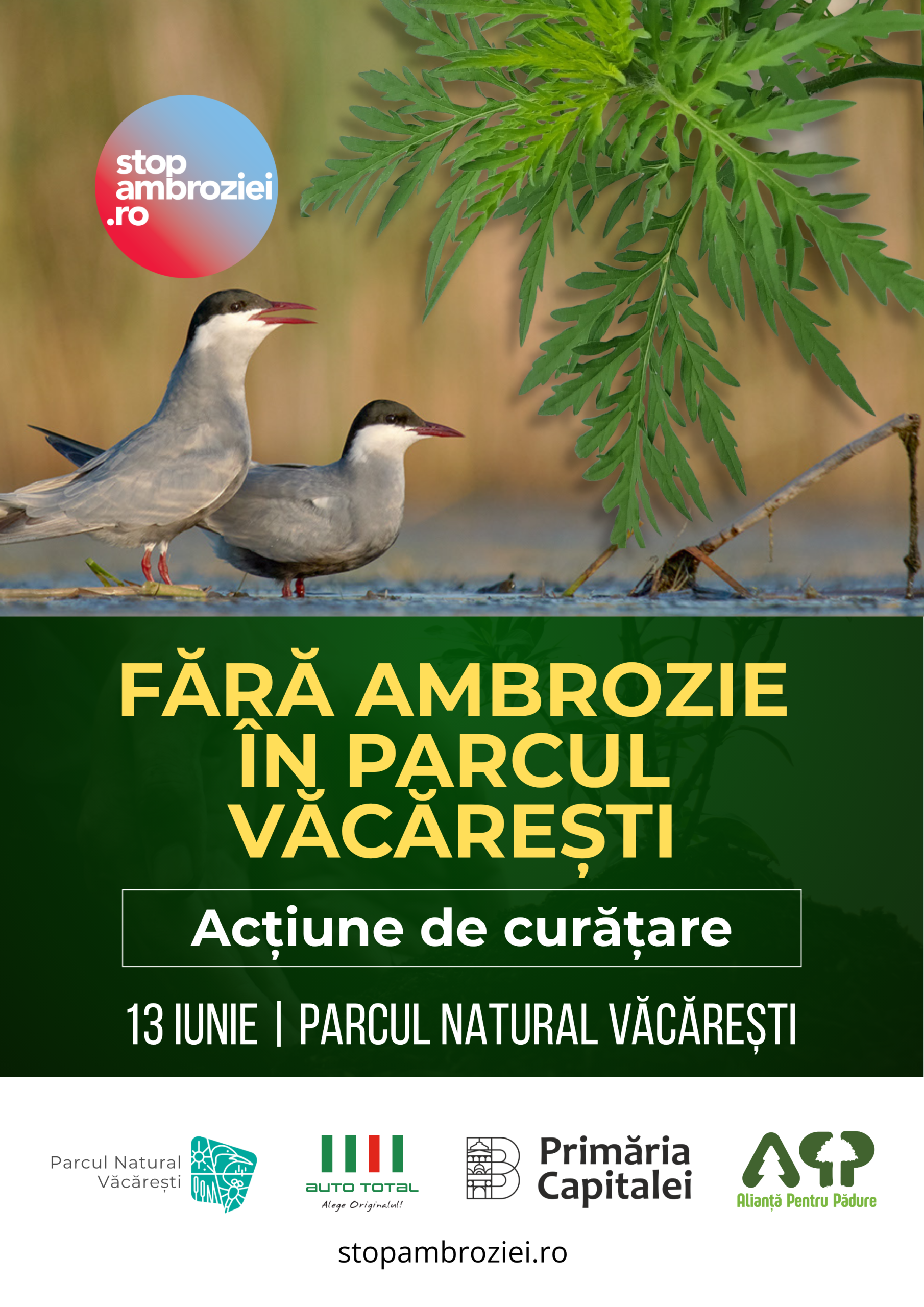 Afis Stop Ambroziei Vacaresti scaled