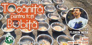 Florin Niță vine la Tocăniță pentru toți Bobiță: gătește pentru câinii de la Adăpostul Speranța în weekend