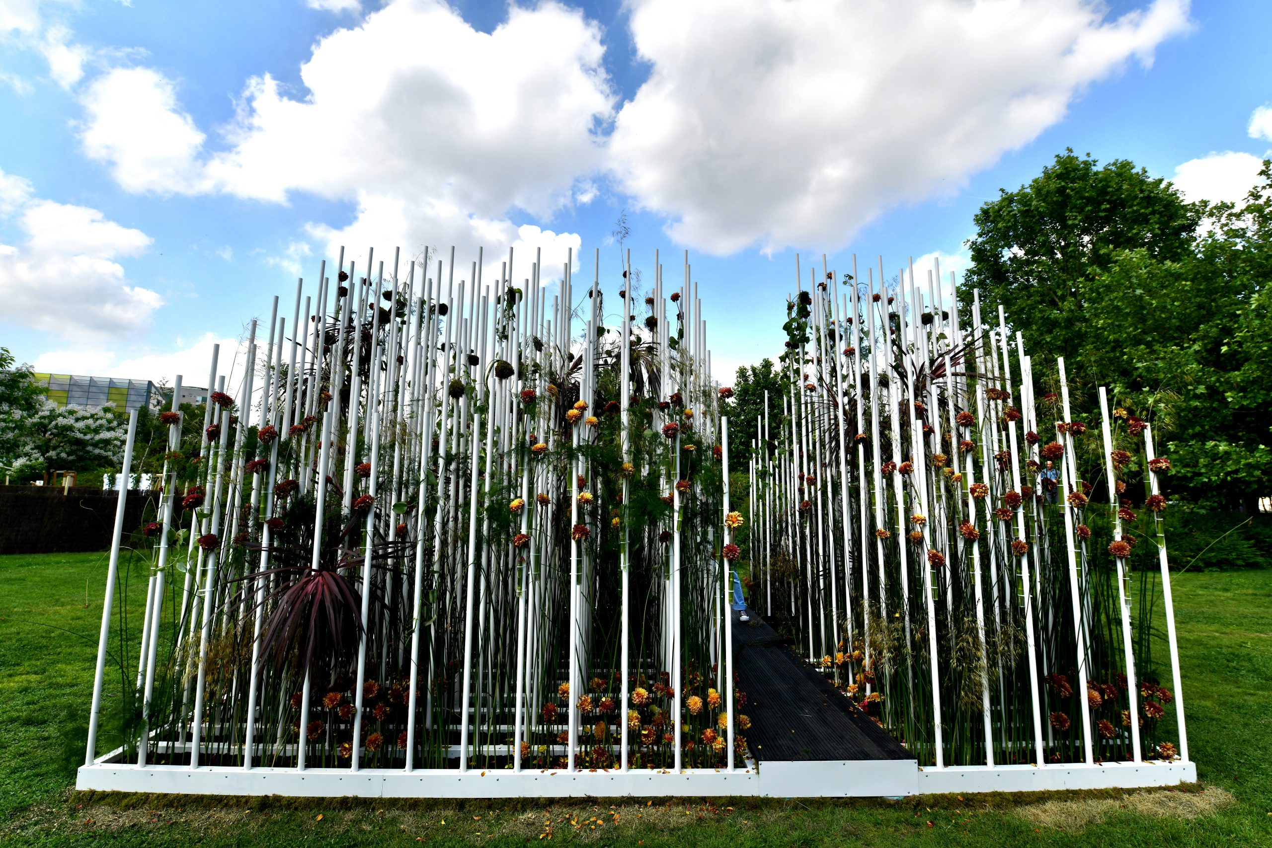 West Side Flower Fest 2026, ediția a IV-a: trei zile în care Sectorul 6 s-a întors la „Origini”, printre flori, artă și comunitate 2 PS6 3120 scaled