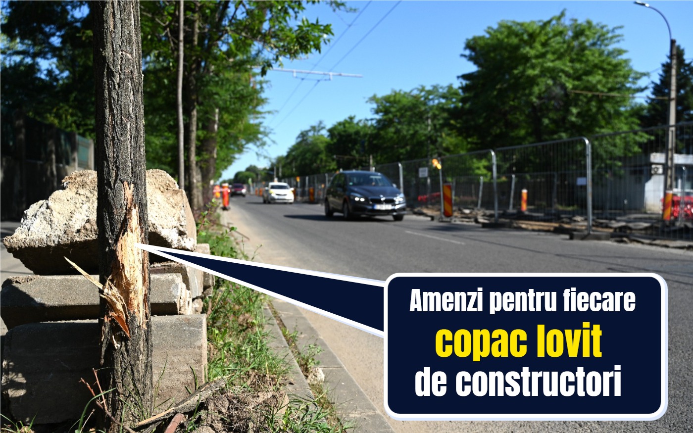 VIZUAL copac lovit