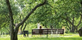 A person sitting on a bench in a park