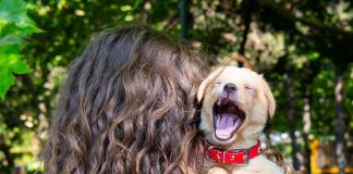 ASPA organizează un nou târg de adopții în Parcul Crângași. Zeci de câini și pisici își caută o familie