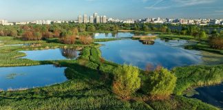 Primăria Capitalei propune amenajarea unei Centuri Verzi de aproximativ 250 de hectare în București și Ilfov