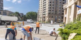 Primăria Capitalei transformă Bulevardul Națiunile Unite într-un „oraș-parc”. Aproape 100 de arbori vor fi plantați