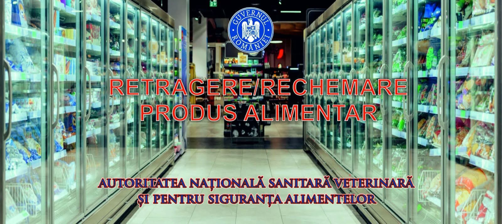 747643360 1577191163842402 2965548066518433497 n