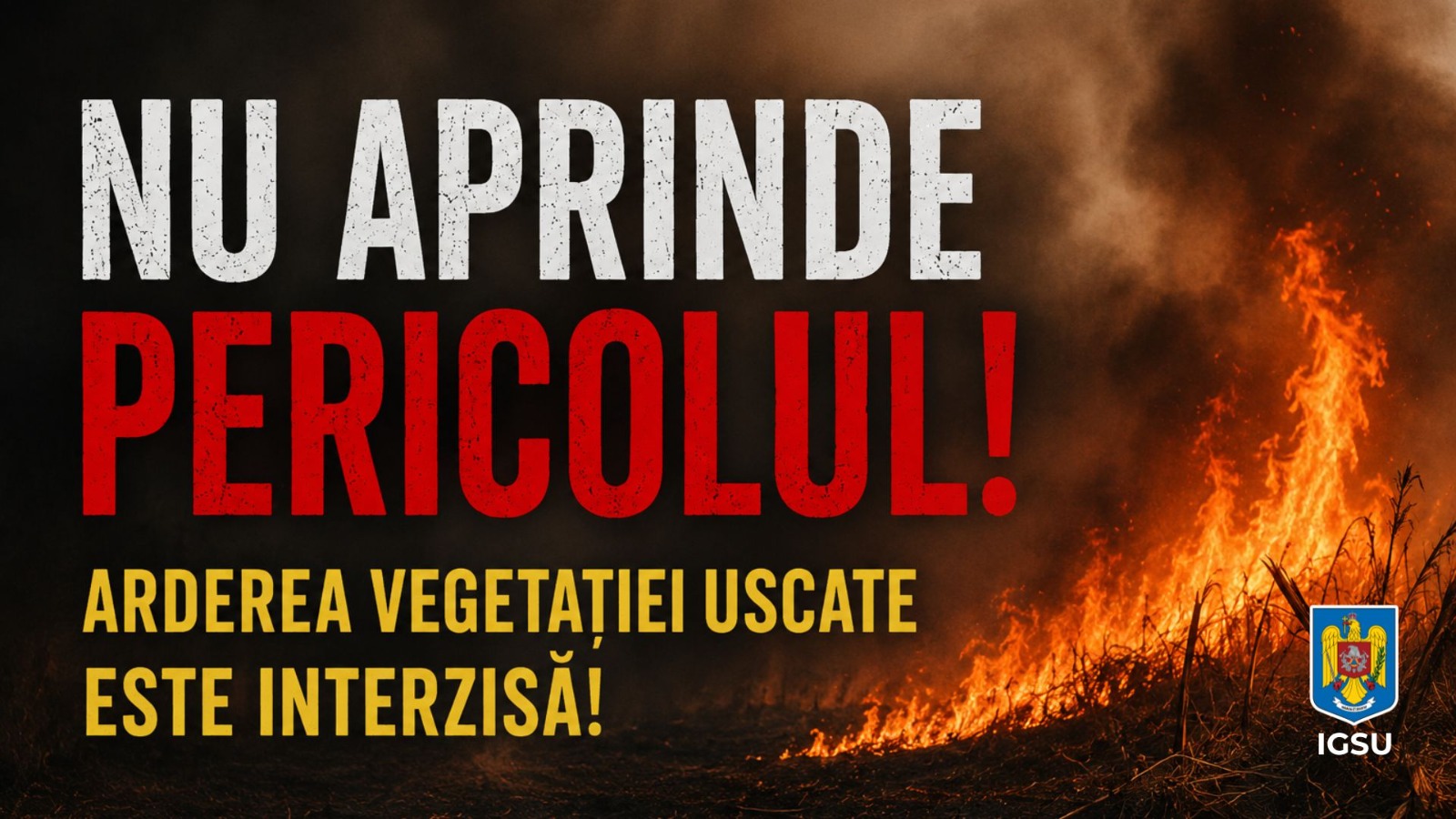 Amenzi de până la 100.000 de lei pentru incendierea vegetației. IGSU lansează o campanie de informare 1 WhatsApp Image 2026 07 15 at 11.41.03