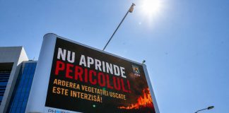 Amenzi de până la 100.000 de lei pentru incendierea vegetației. IGSU lansează o campanie de informare