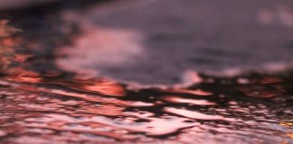 a close up of a puddle of water on the ground