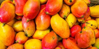 Începând cu acest an, fructele de mango din Taiwan vor ajunge şi în Europa yellow and red fruit lot