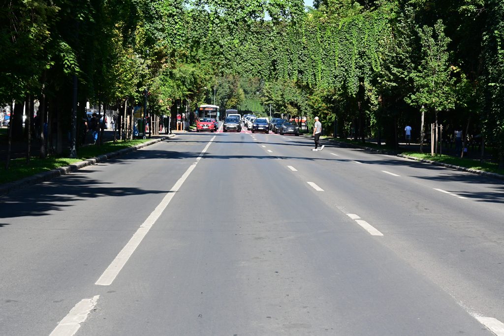 Triunghiul Muzeelor se lansează în București. Șoseaua Kiseleff devine promenadă culturală în weekend 1 4 1 1024x683 1
