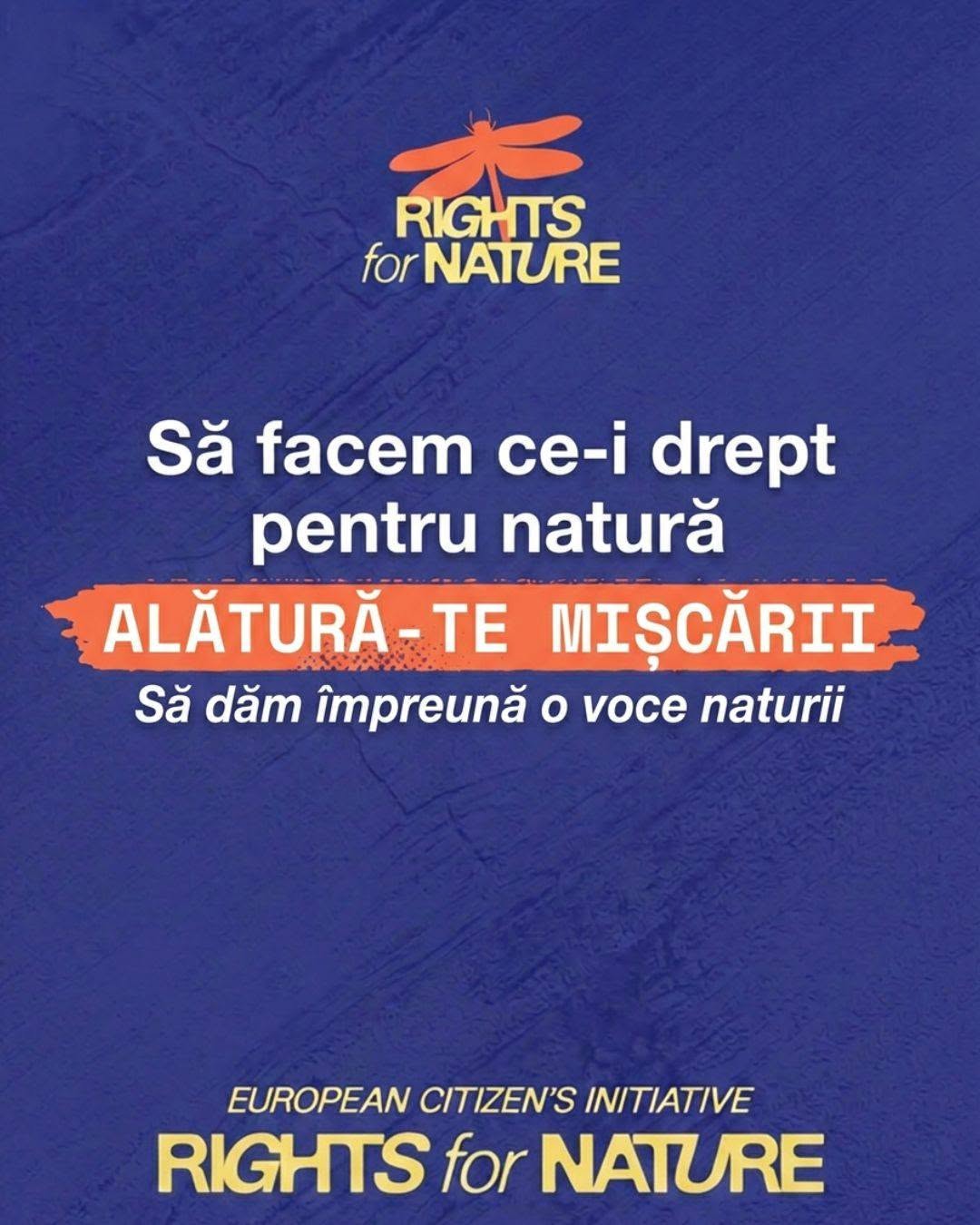 „Natura nu este o resursă. Este o ființă vie.” Alexandra Postelnicu, președinta Pachamama România, despre inițiativa care vrea să schimbe relația Europei cu natura 3 759320397 1517621330410321 2581821862471260907 n