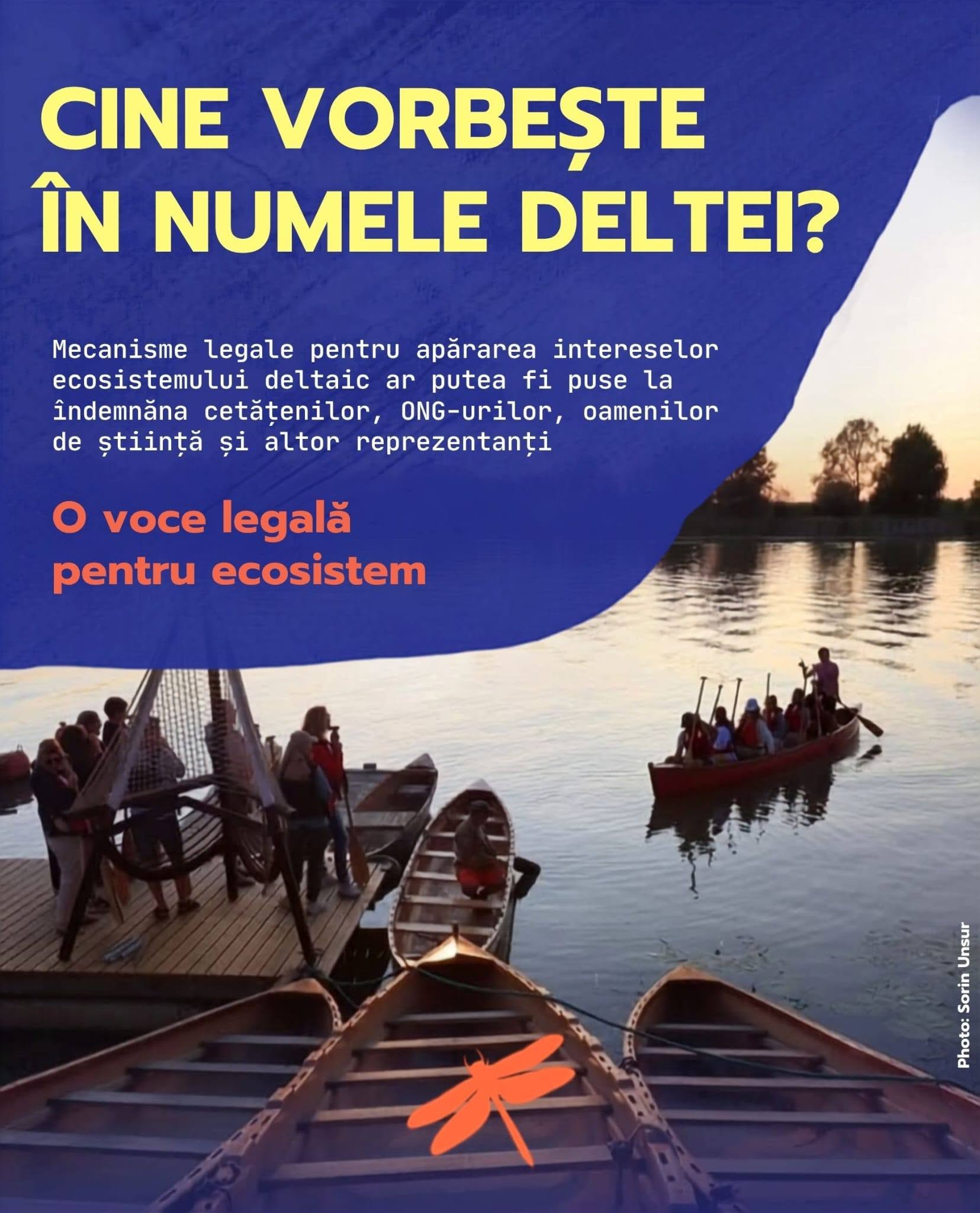 „Natura nu este o resursă. Este o ființă vie.” Alexandra Postelnicu, președinta Pachamama România, despre inițiativa care vrea să schimbe relația Europei cu natura 2 793204088 1550184057154048 3036416031797232012 n