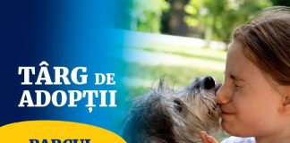 Târg de adopții ASPA în Parcul Izvor, pe 19 septembrie. Câini și pisici își caută familii